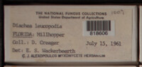 Image Associated With the Occurence